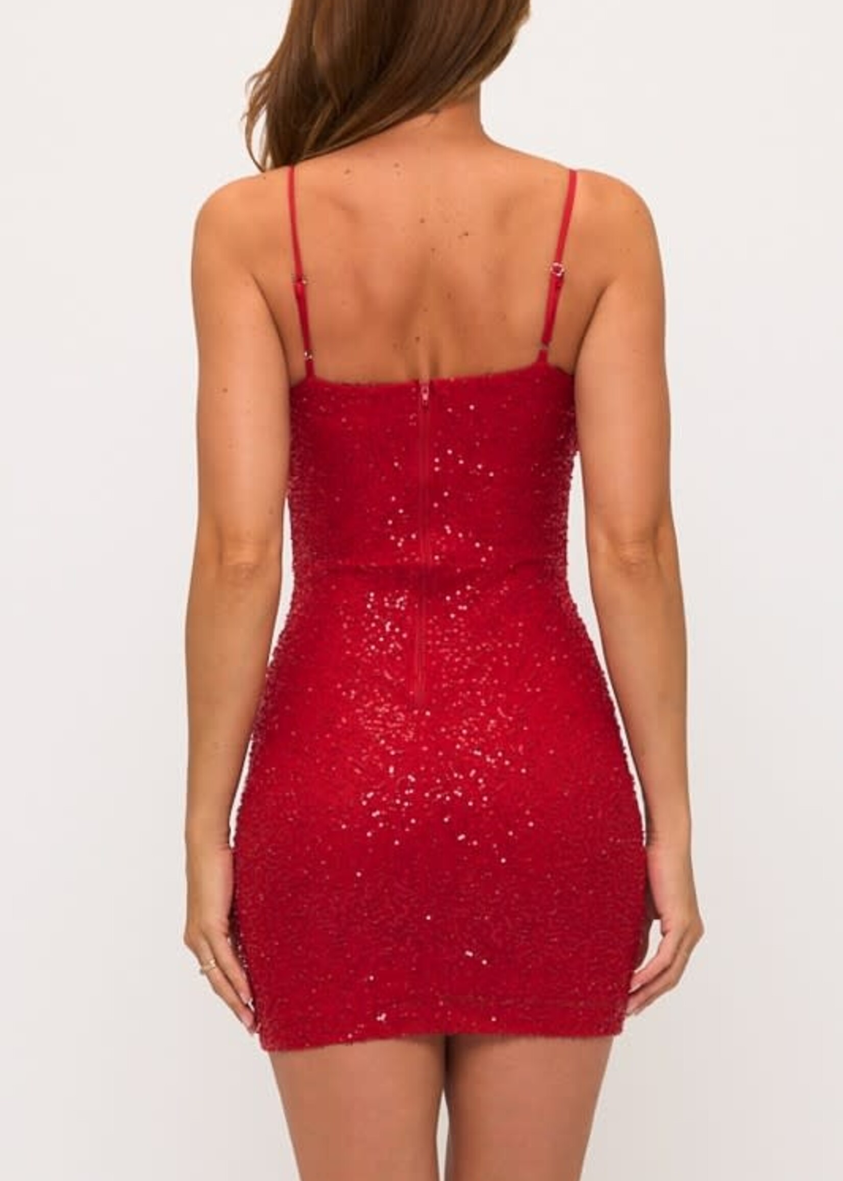 Beads and Sequin Dress (2 Colors)
