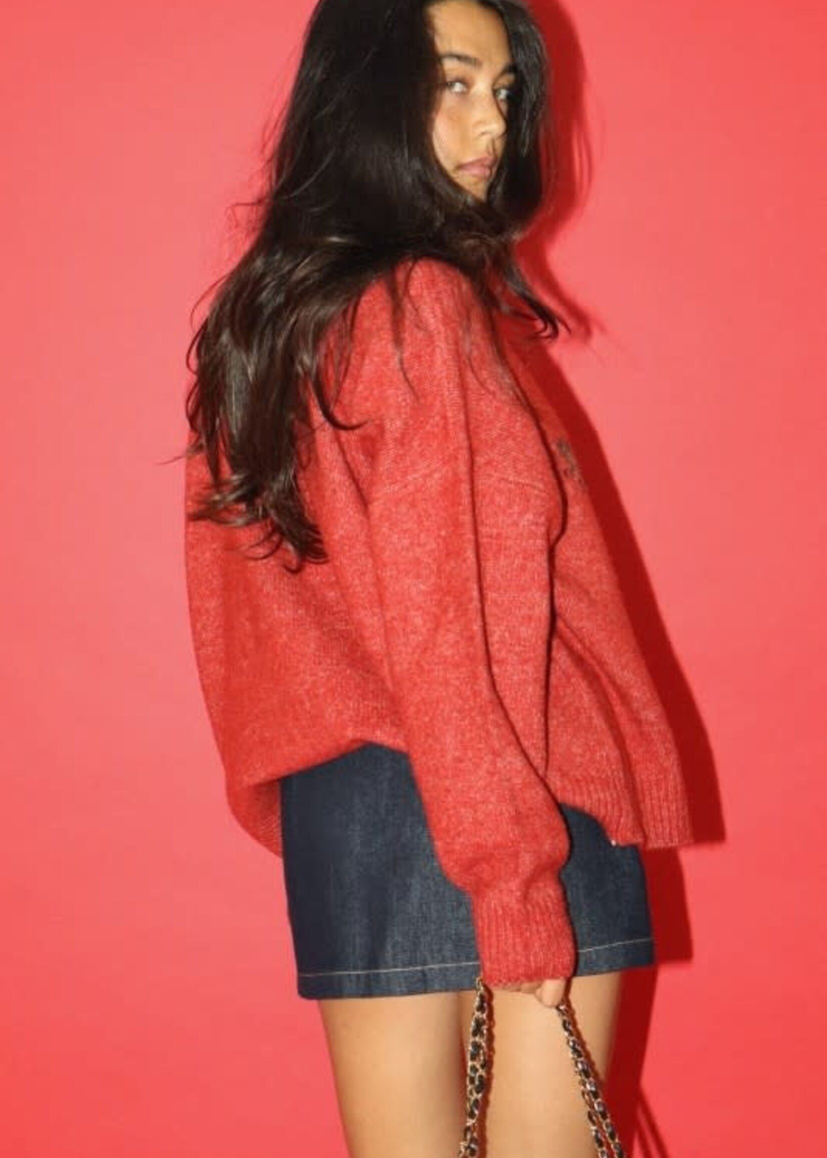 Red Mallard Duck Sweater