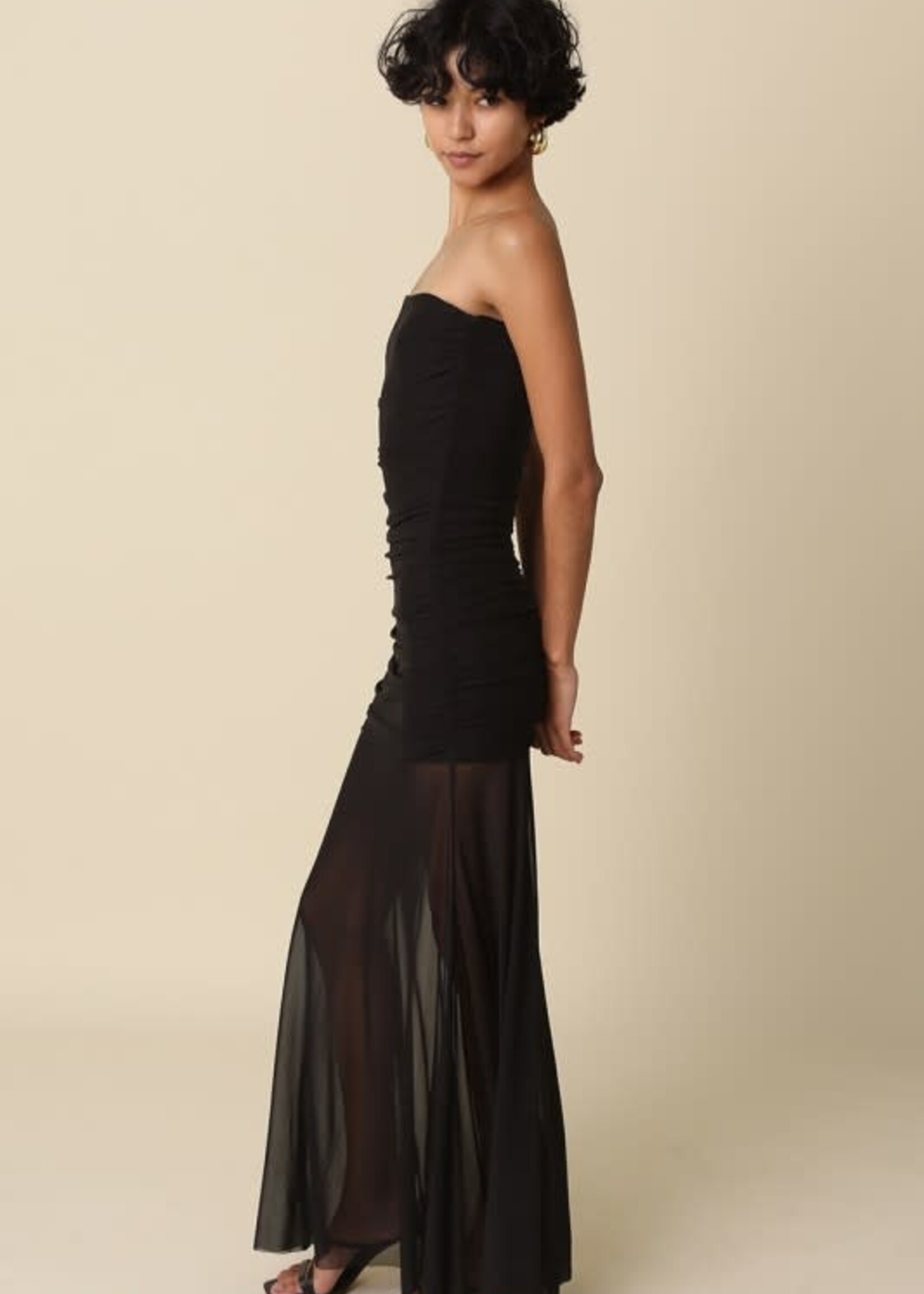 Sheer Perfection Dress (2 Colors)