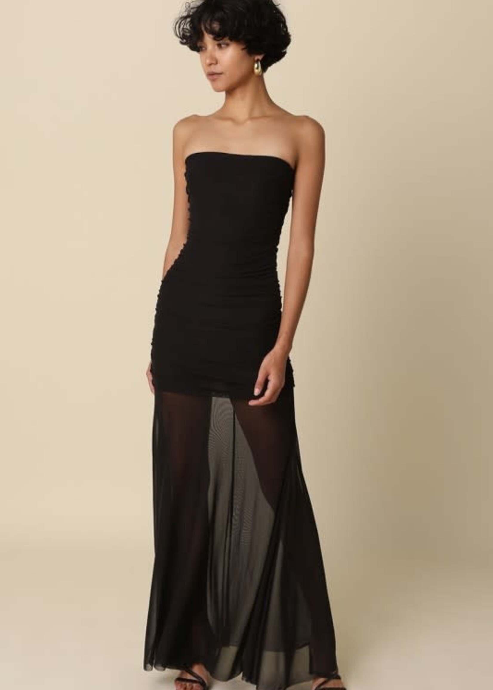 Sheer Perfection Dress (2 Colors)