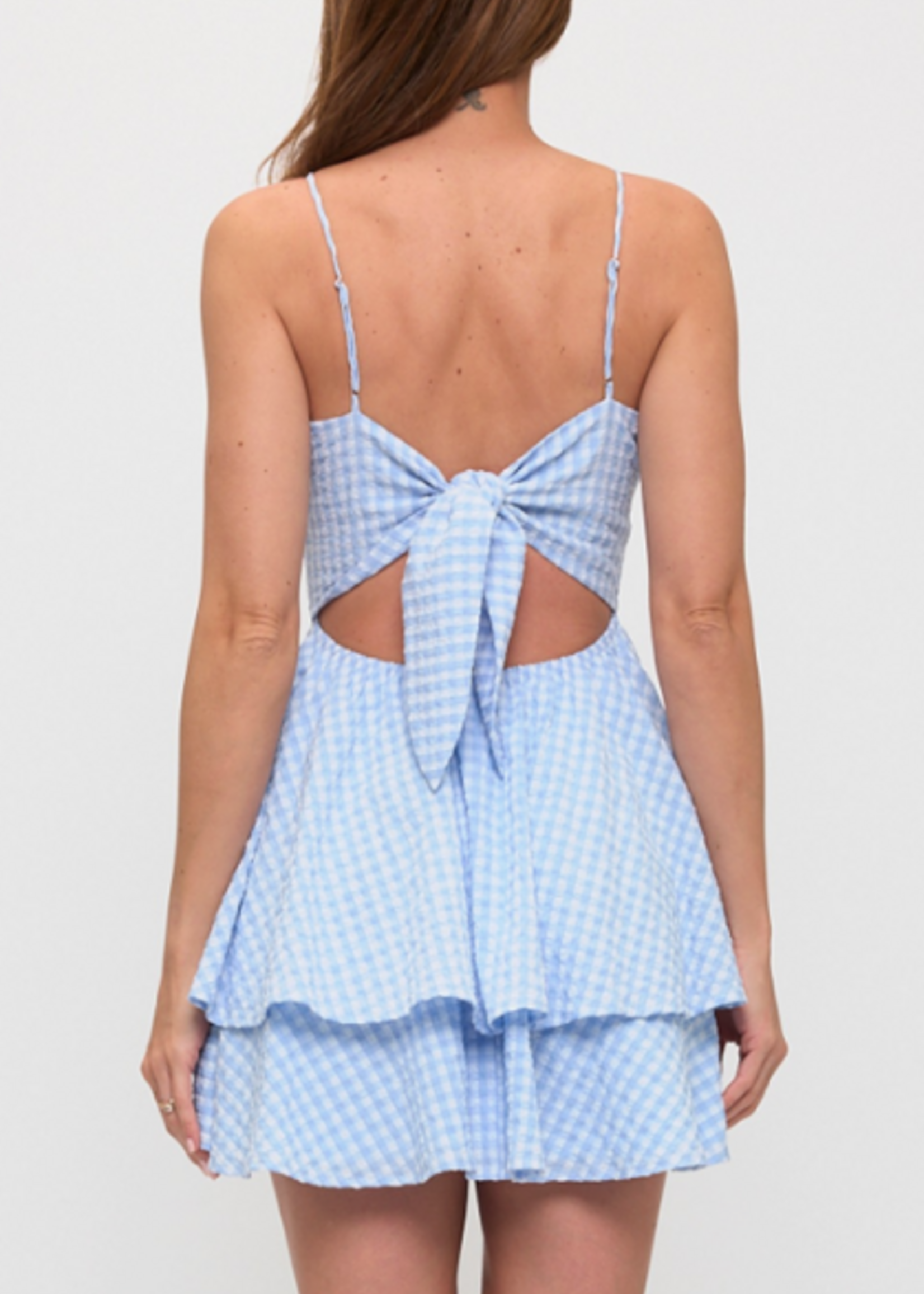 Great In Gingham Dress (2 Colors)