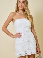 Celebrate Now Dress (2 Colors)
