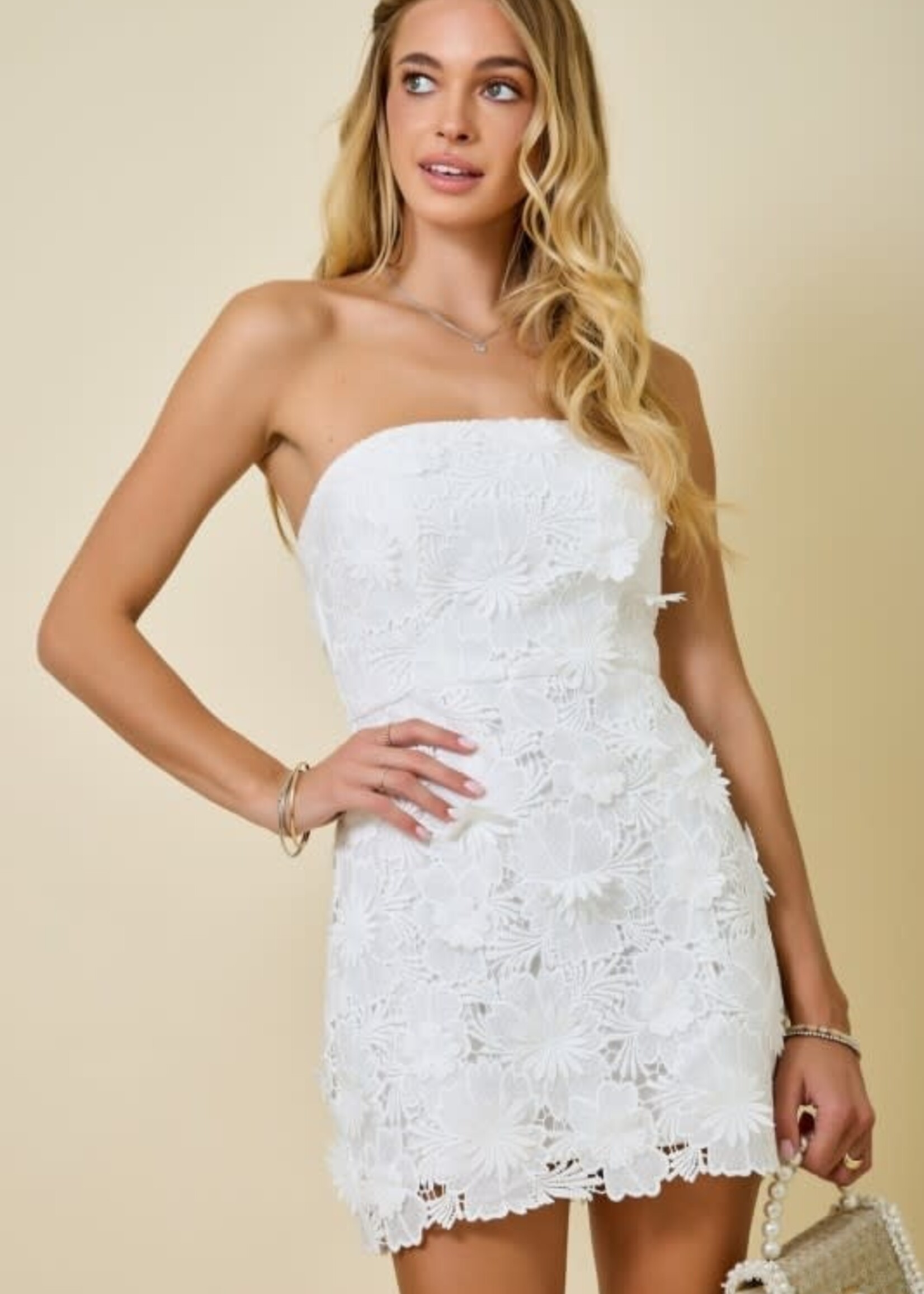 Celebrate Now Dress (2 Colors)