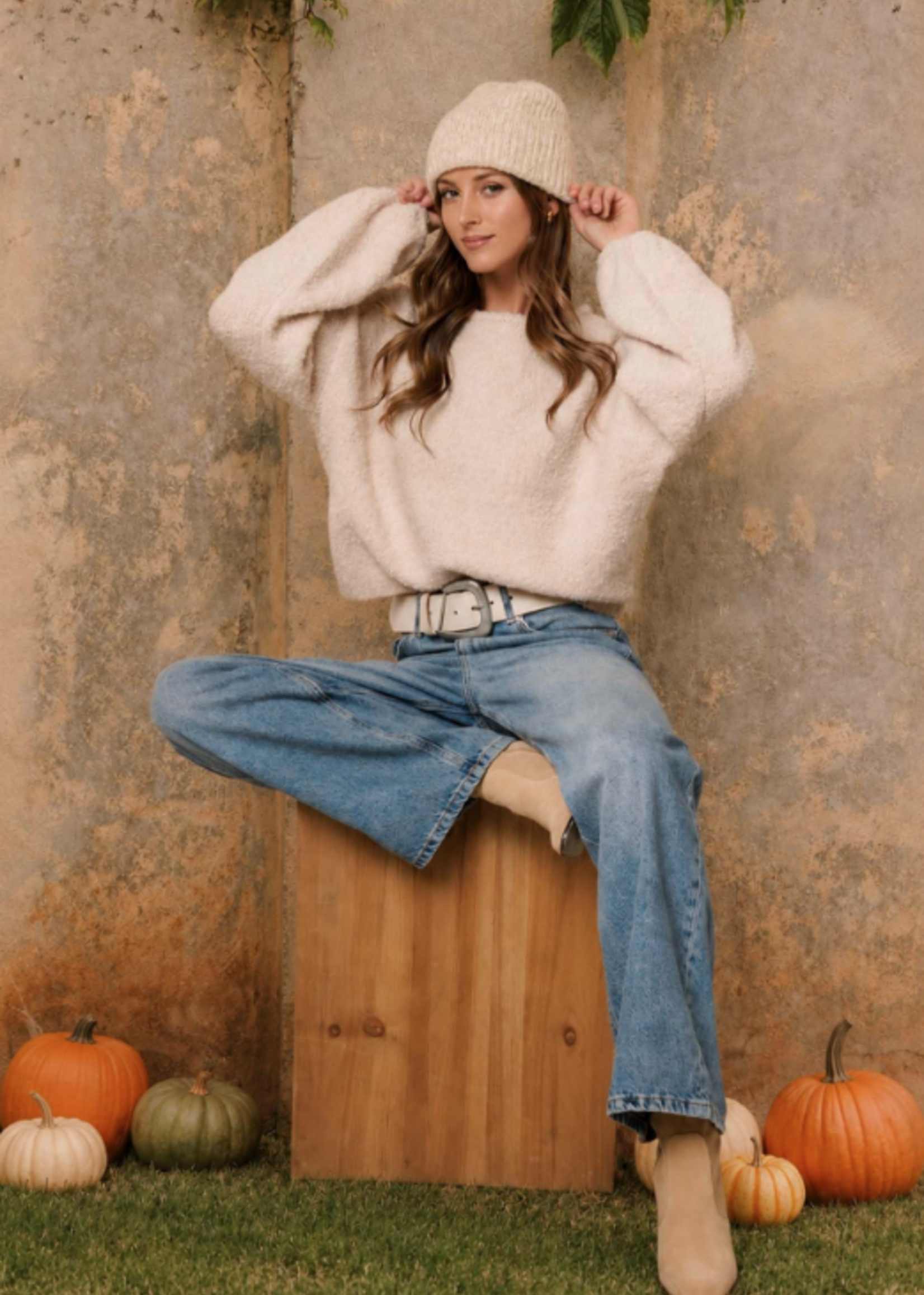 Super Soft and Cozy Sweater (2 Colors)