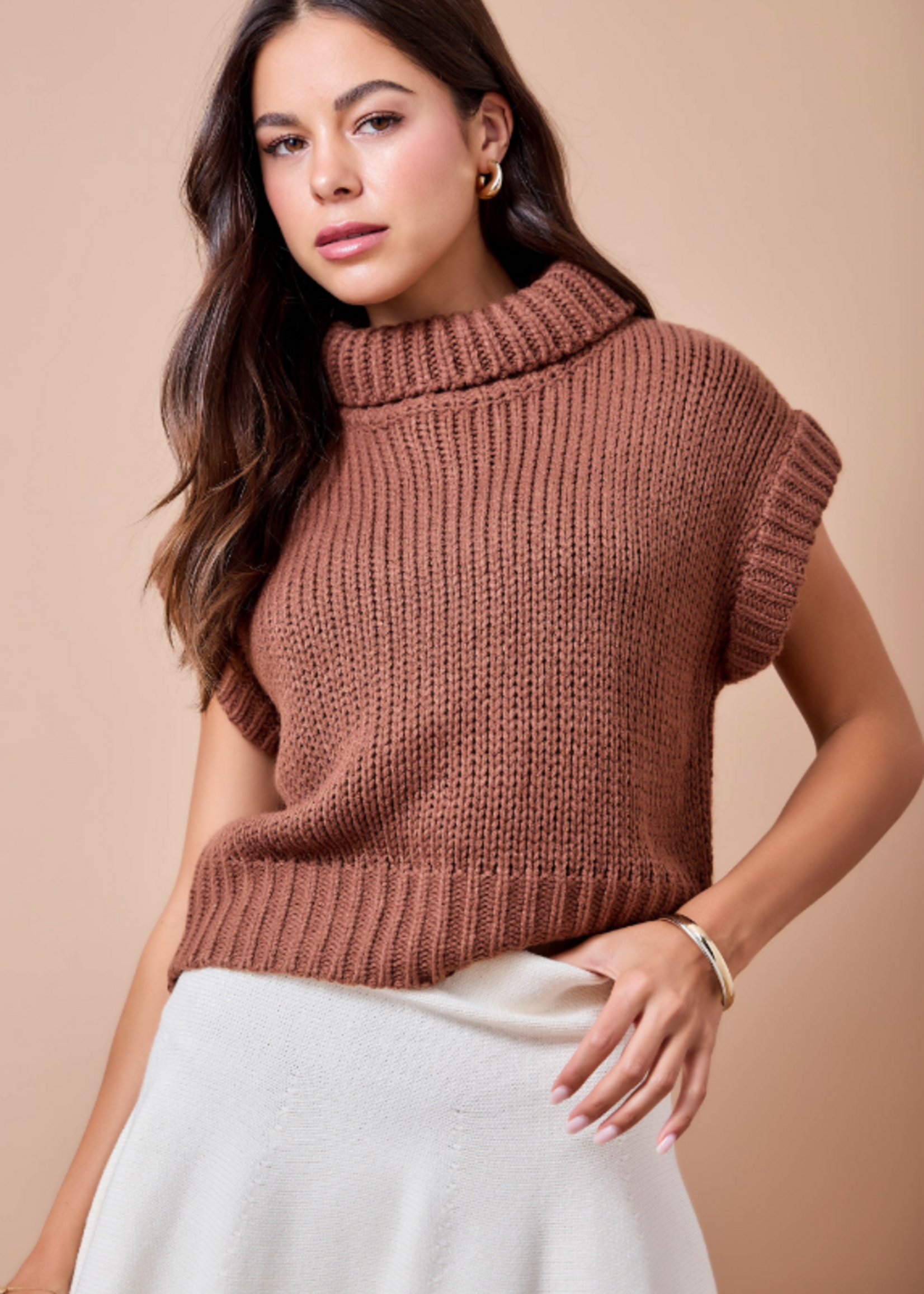 Turtleneck Sweater (2 Colors)
