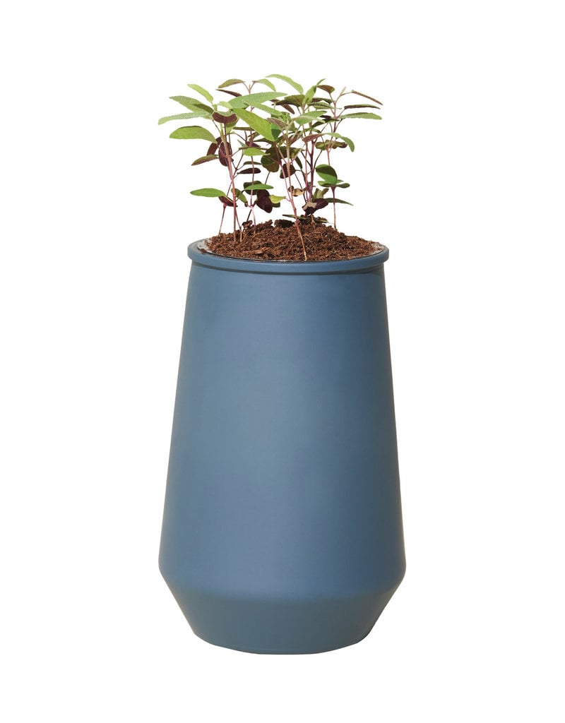 Modern Sprout Tapered Tumbler-Eucalyptus