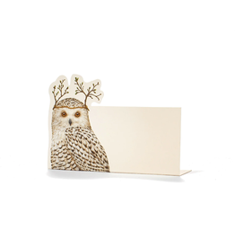 Hester & Cook Winter Owl Place Cards
