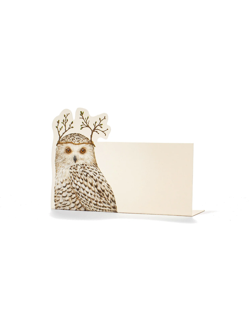 Hester & Cook Winter Owl Place Cards