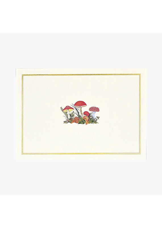 Peter Pauper Mushrooms Notecard Box