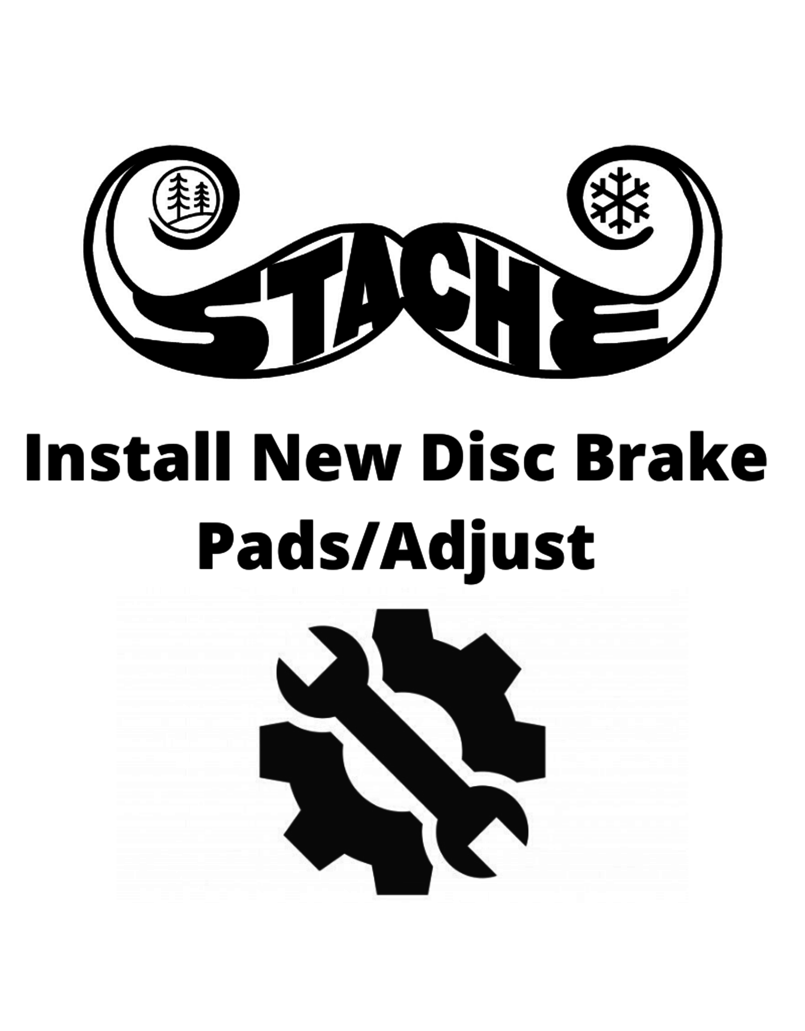 Install new Disc Brake pads/adjust