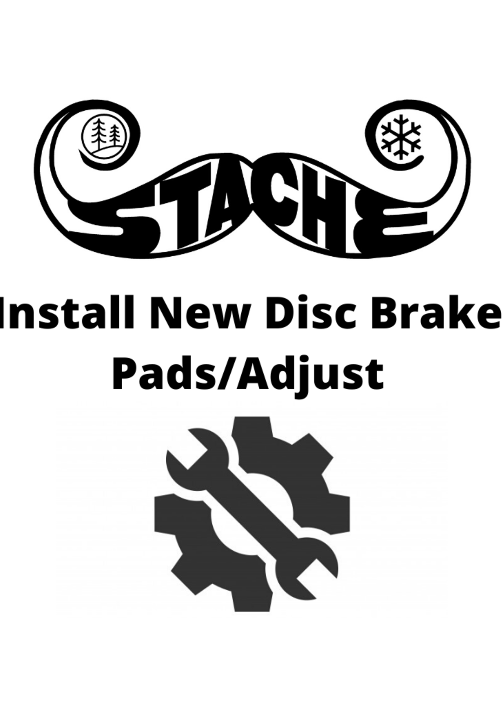 Install new Disc Brake pads/adjust