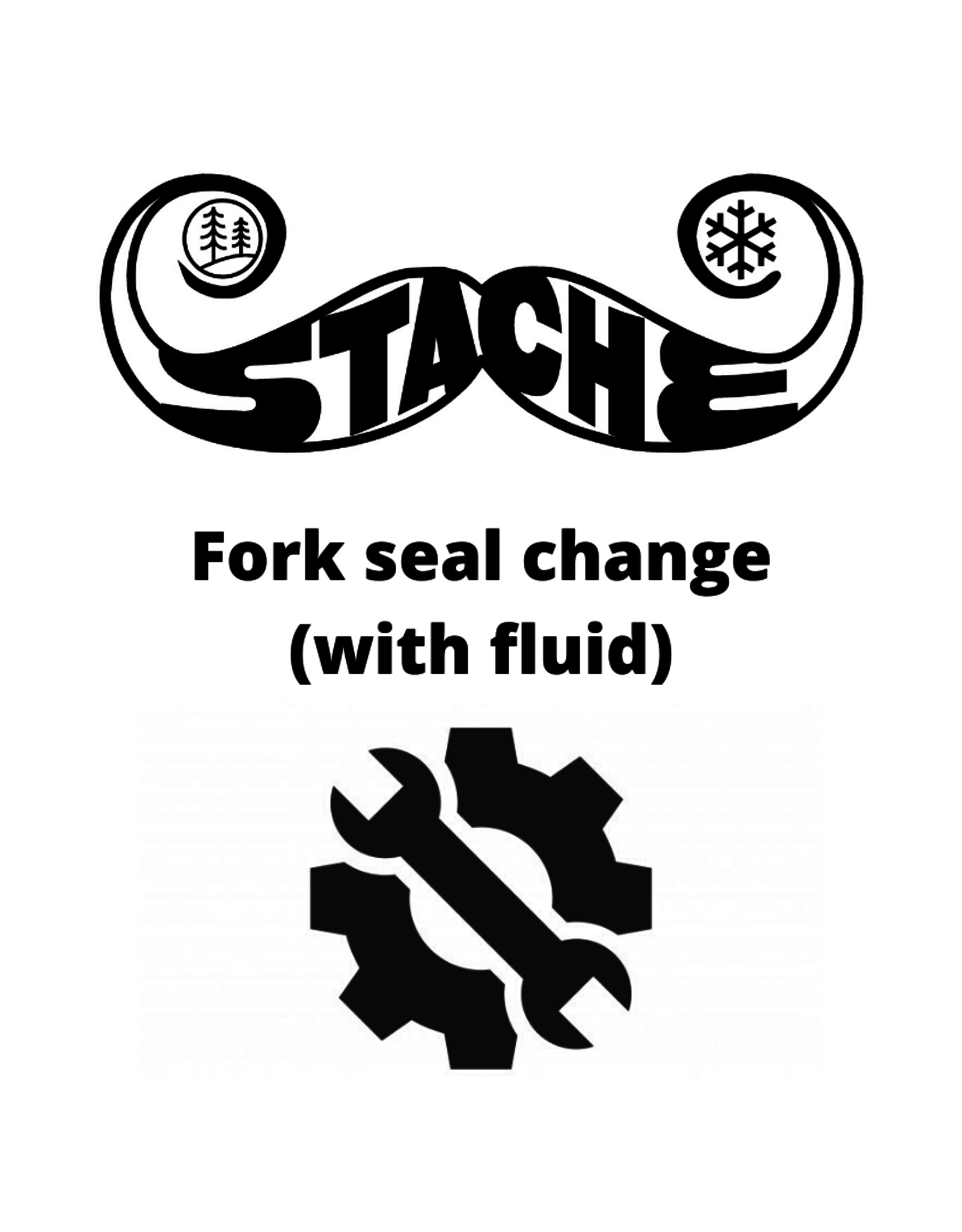 Fork seal change (with fluid)