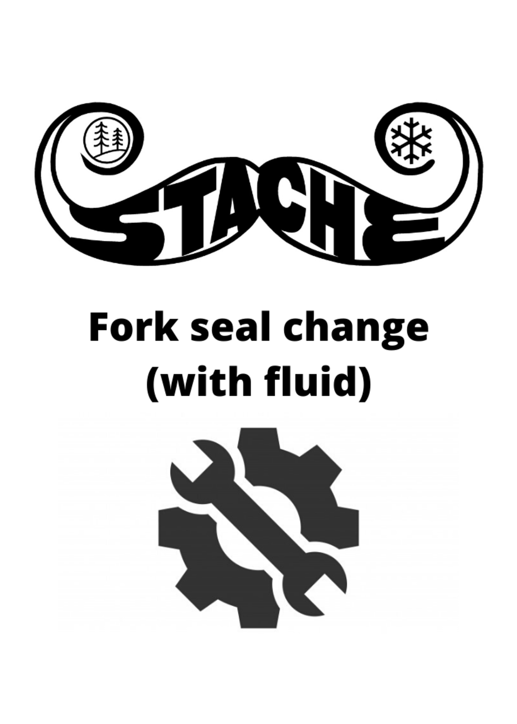 Fork seal change (with fluid)
