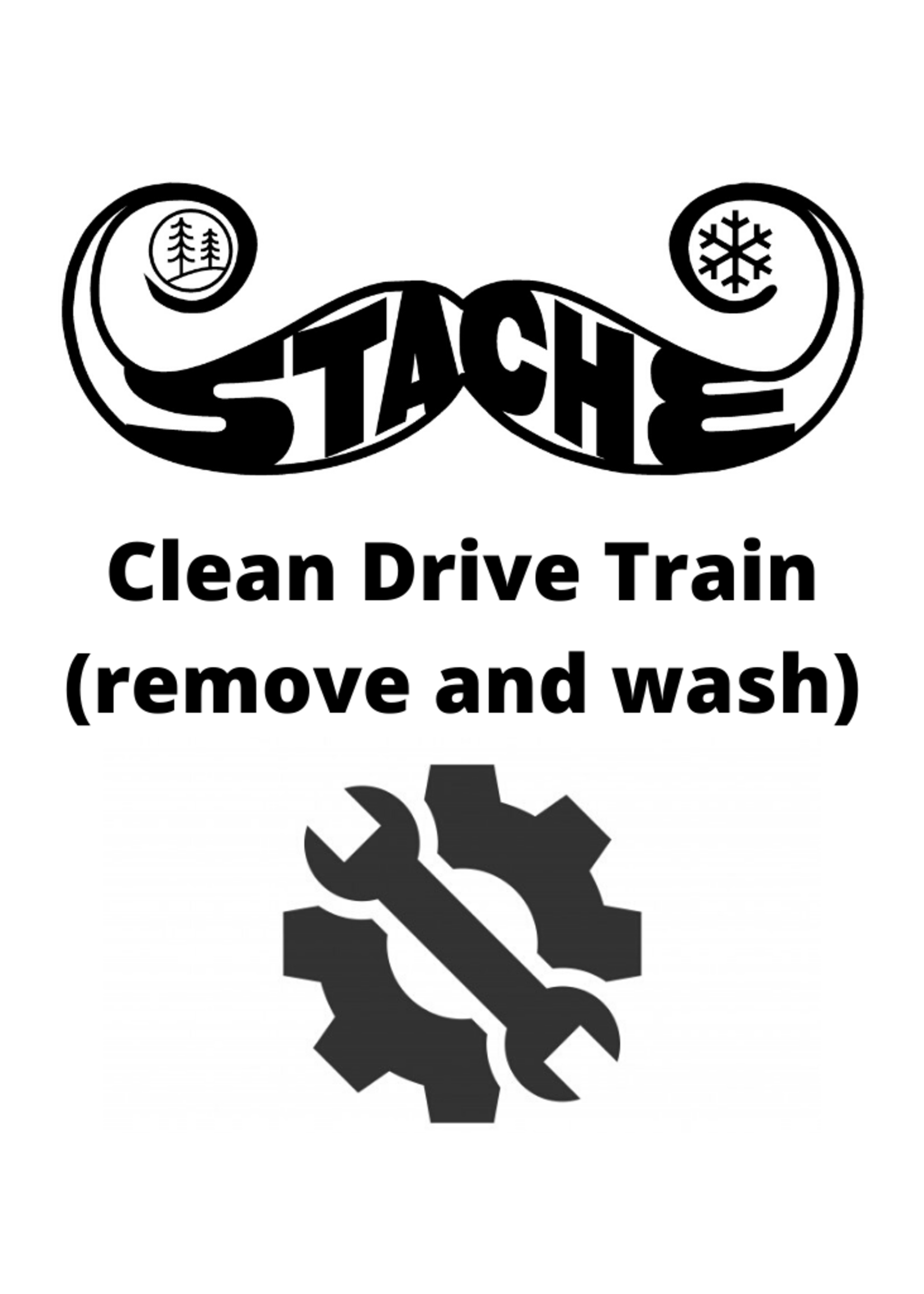 Clean Drive Train (remove and wash)