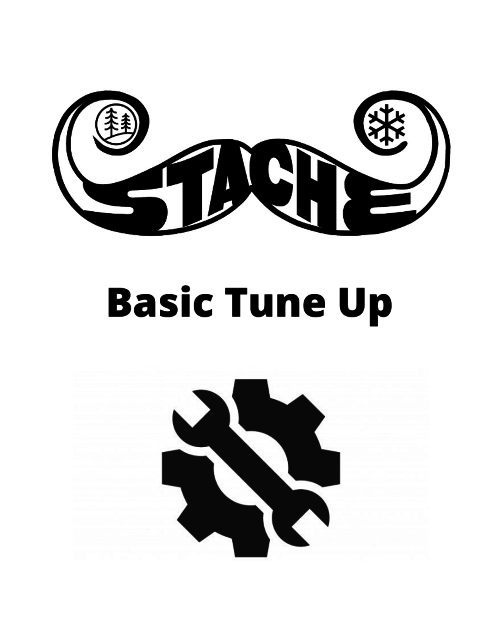 BASIC TUNE UP Stache Bike and Adventure