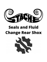 Seals and Fluid Change Rear Shox