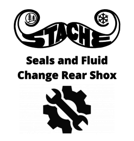 Seals and Fluid Change Rear Shox