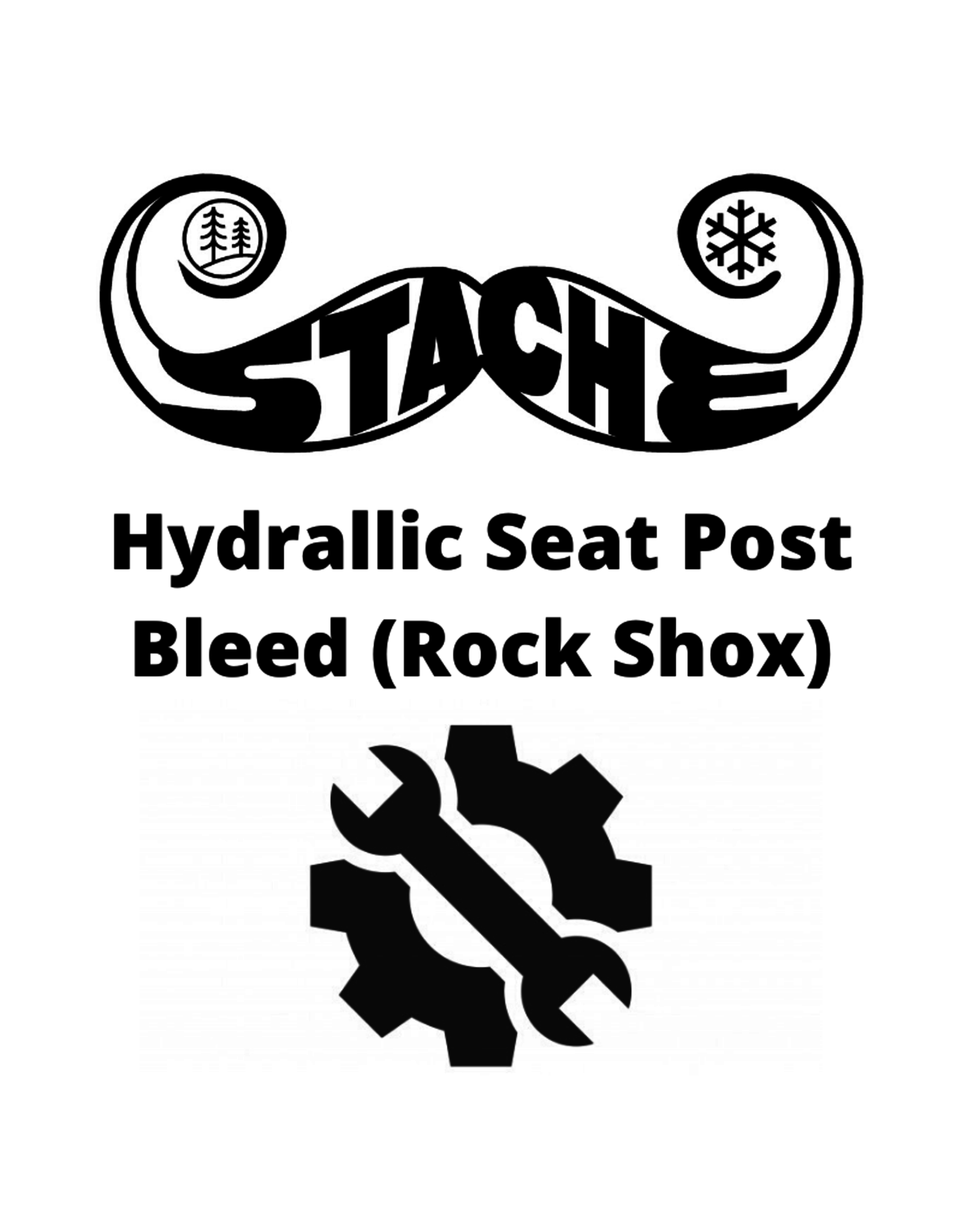 Hydrallic Seat Post Bleed (Rock Shox)