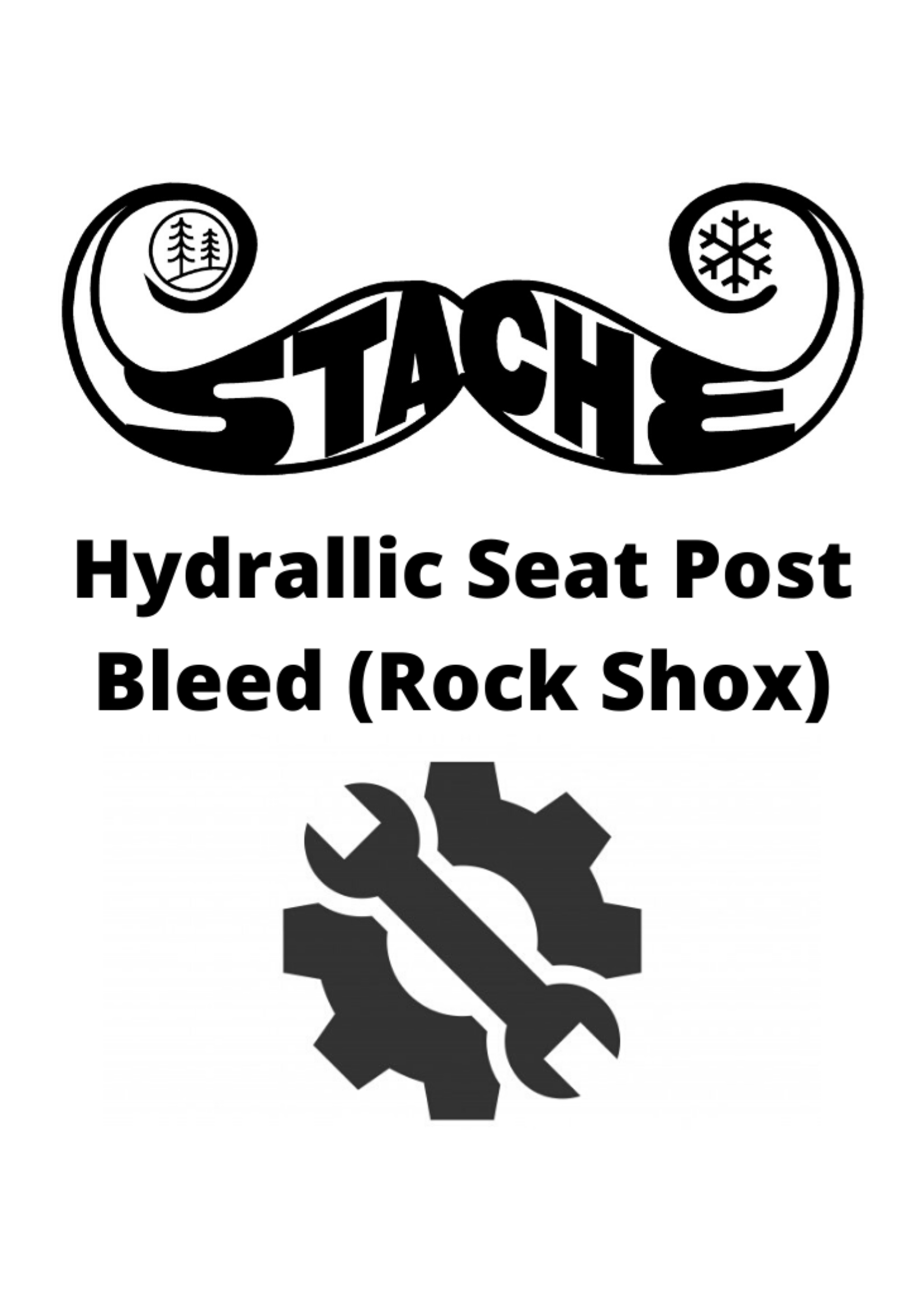 Hydrallic Seat Post Bleed (Rock Shox)