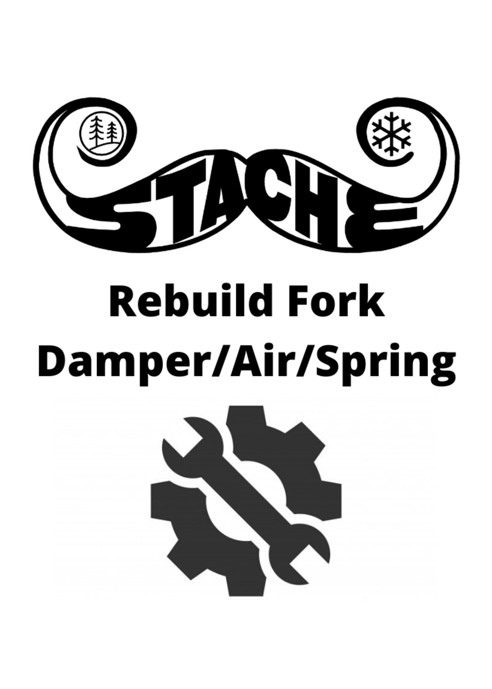 Rebuild Fork Damper/Air/Spring
