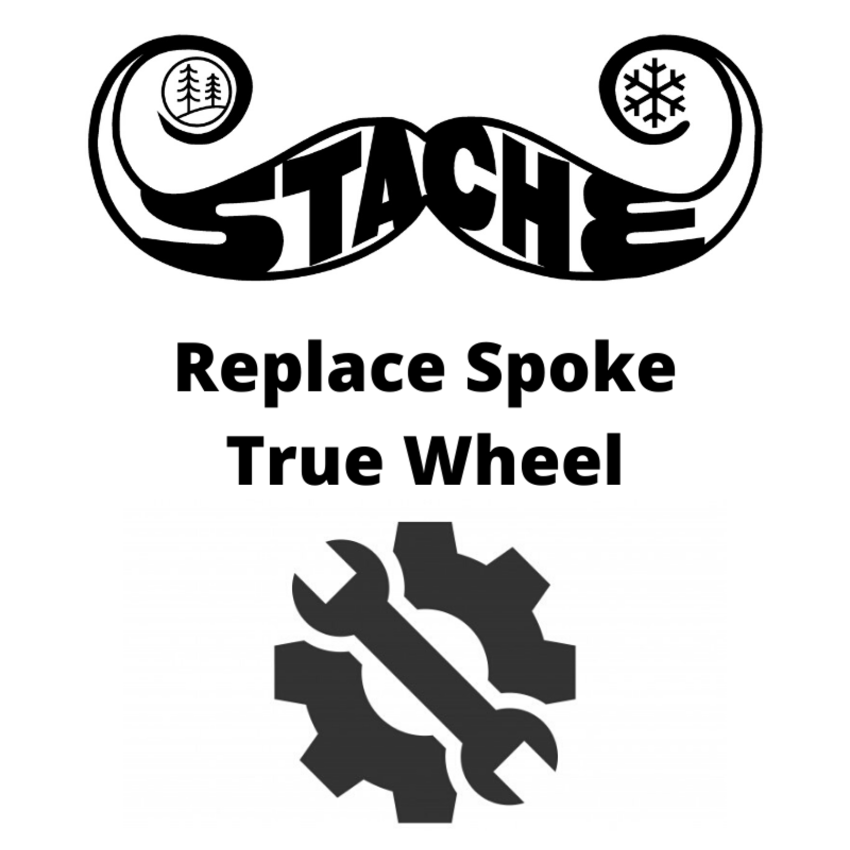 Replace Spoke True Wheel