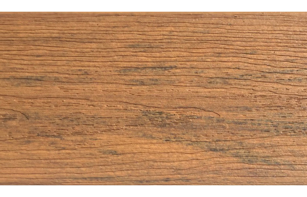 FiberOn Sanctuary Moringa