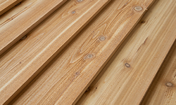 Western Red Cedar