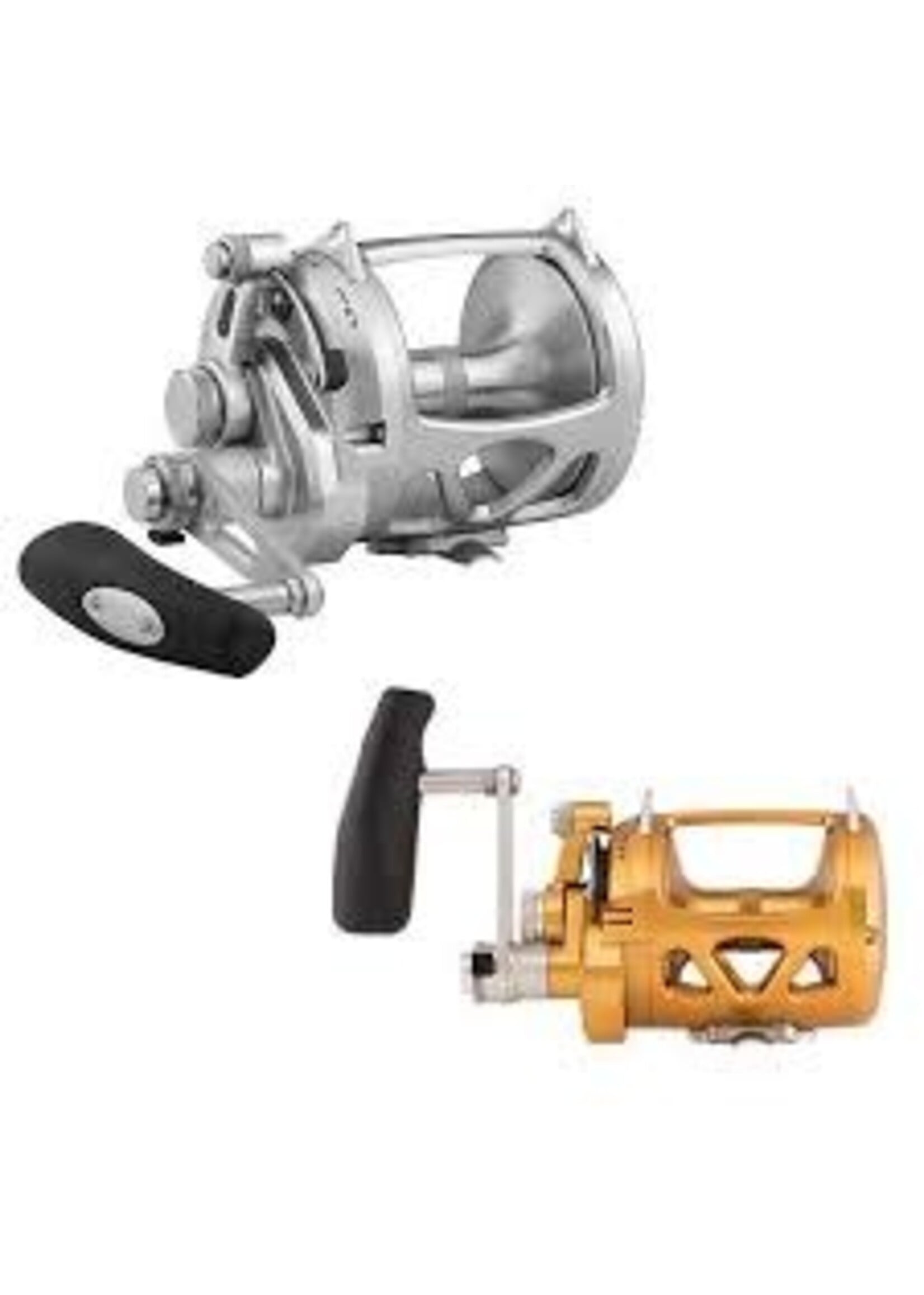 PENN INTERNATIONAL VIS TWO SPEED