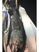 TTC DOUBLE TUNA BAG 10FT X 4FT