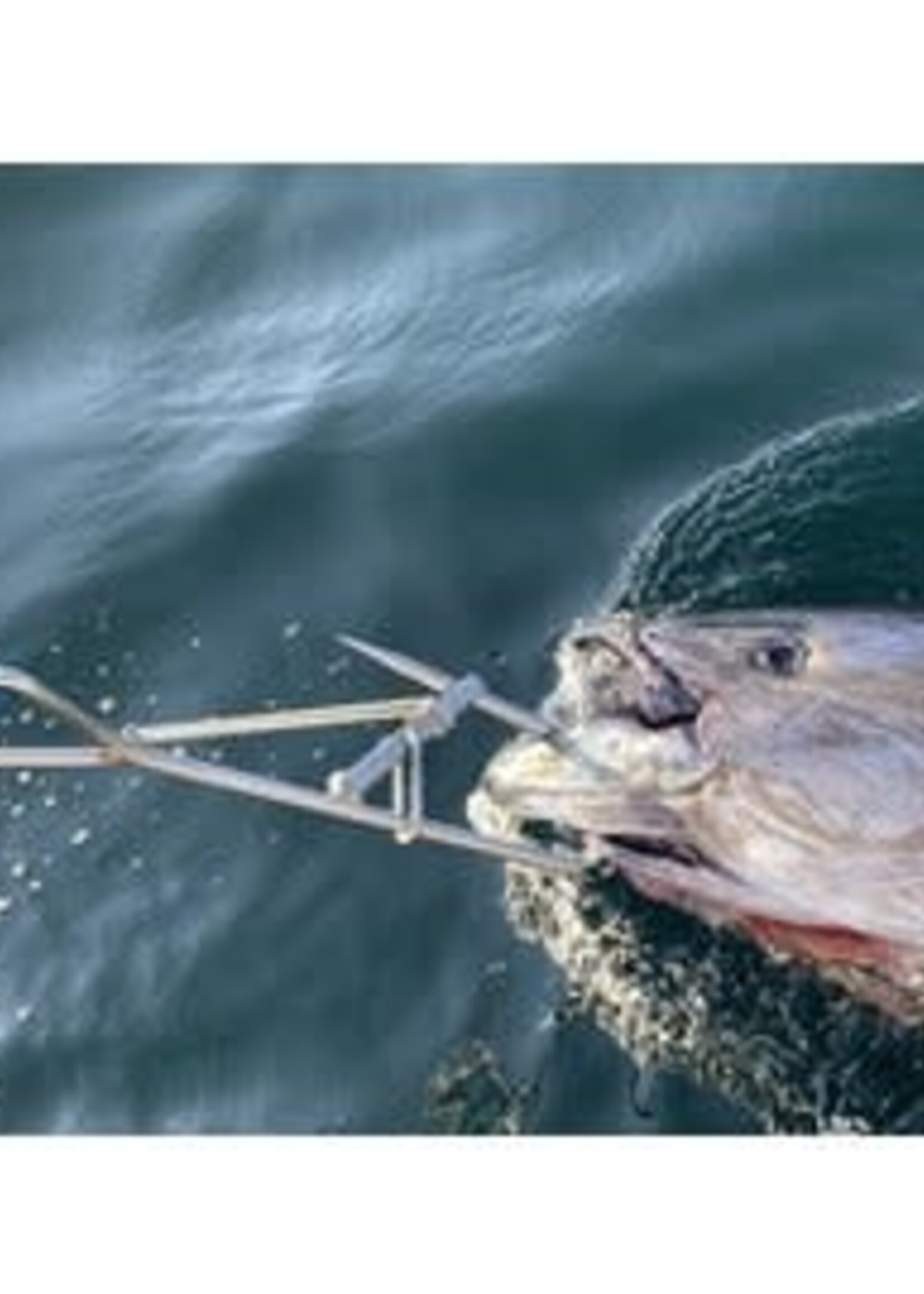 HEAVY DUTY TUNA SWIM HOOK