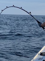 TTC TTC CUSTOM ROD COMBO