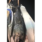 Double Tuna Bag 10ft x 4ft Zipper