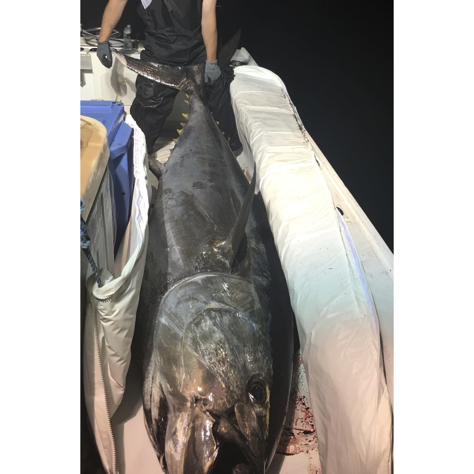 Double Tuna Bag 10ft x 4ft Zipper
