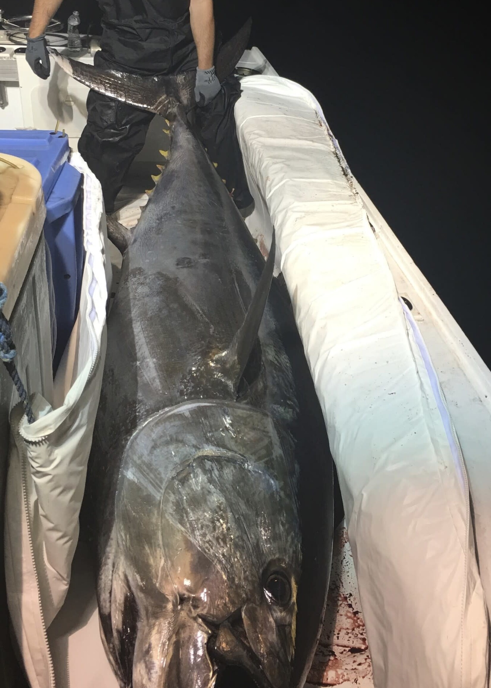 Double Tuna Bag 10ft x 4ft Zipper