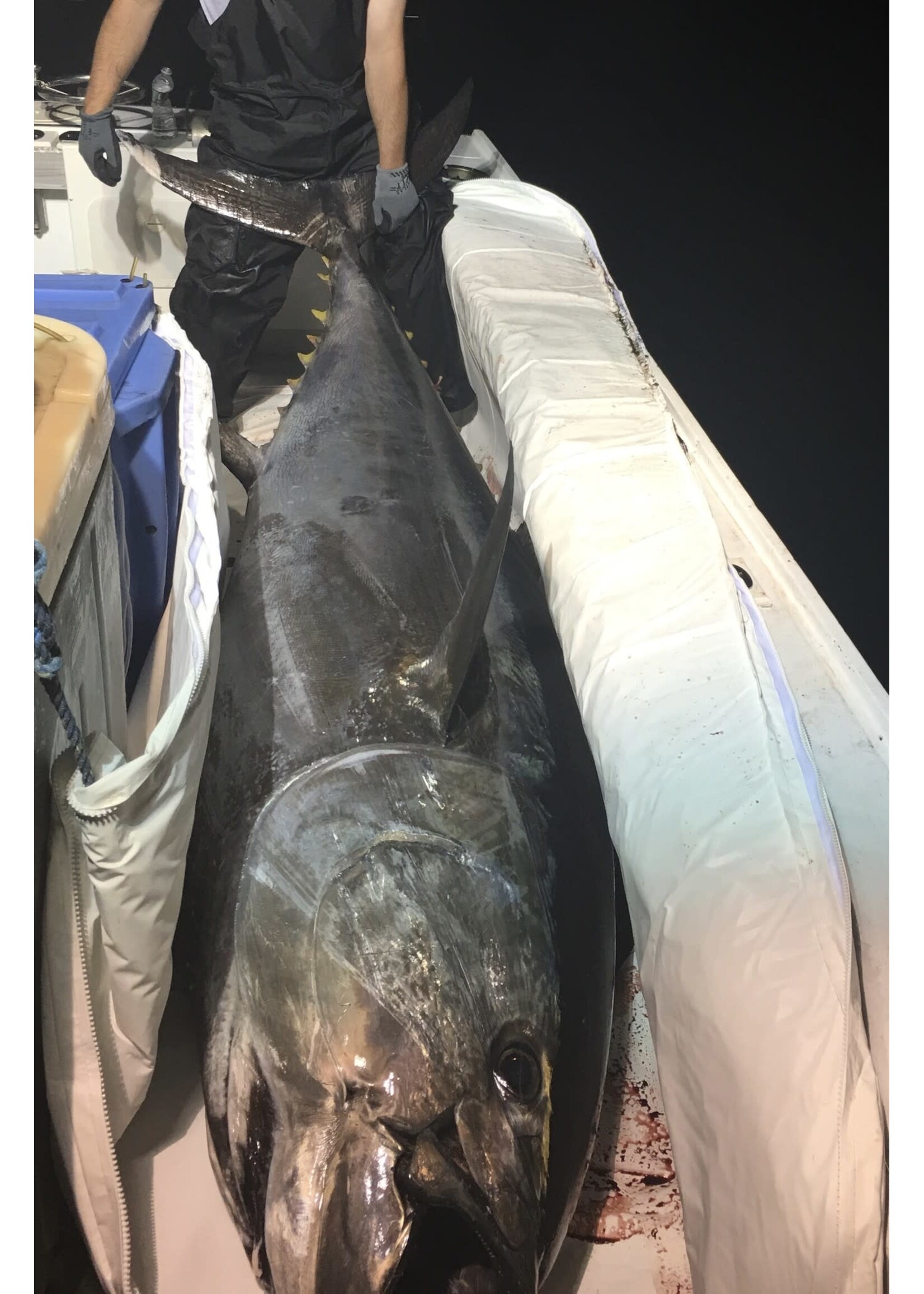 Double Tuna Bag 10ft x 4ft Zipper