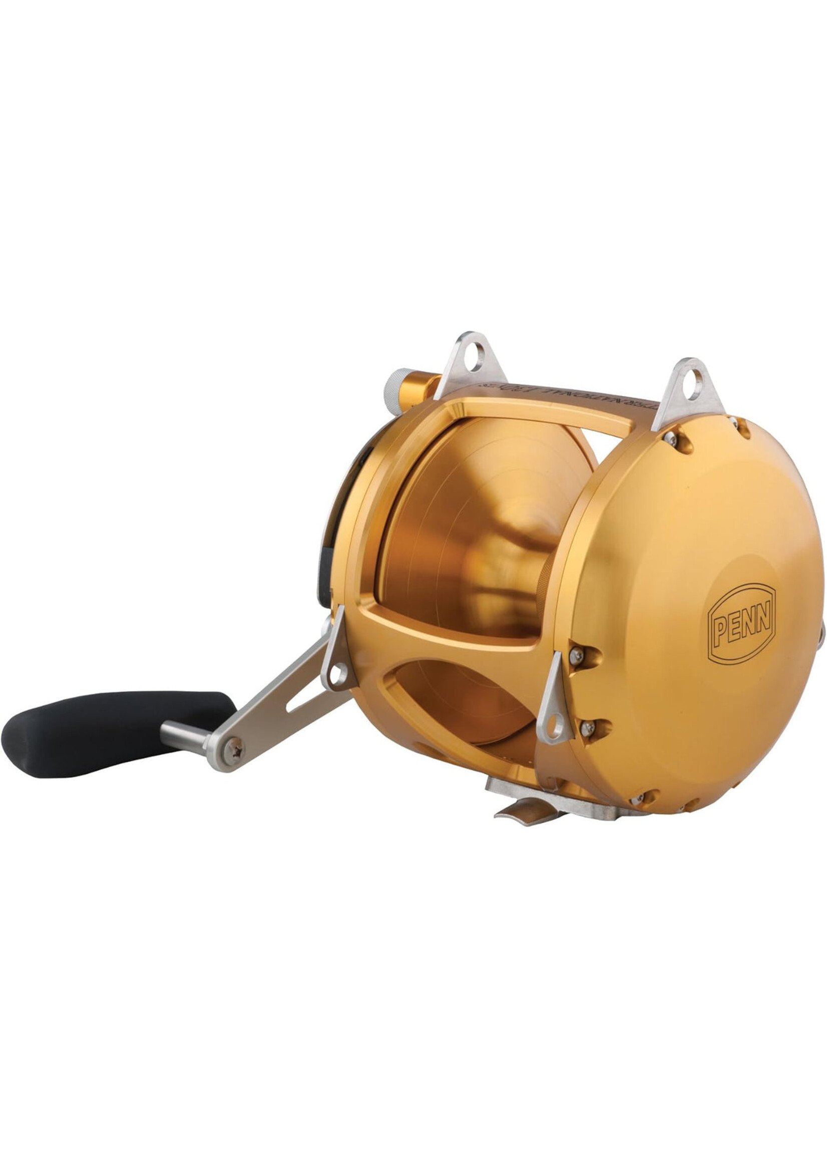 PENN PENN International 130VIS 2-Speed Reel