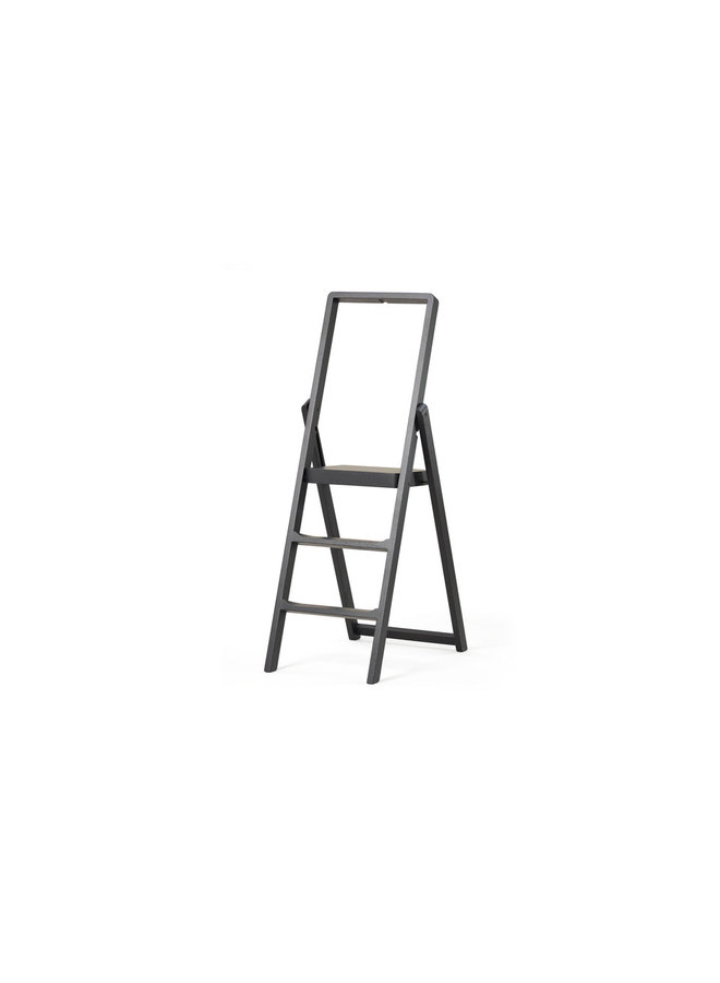 Step Stepladder