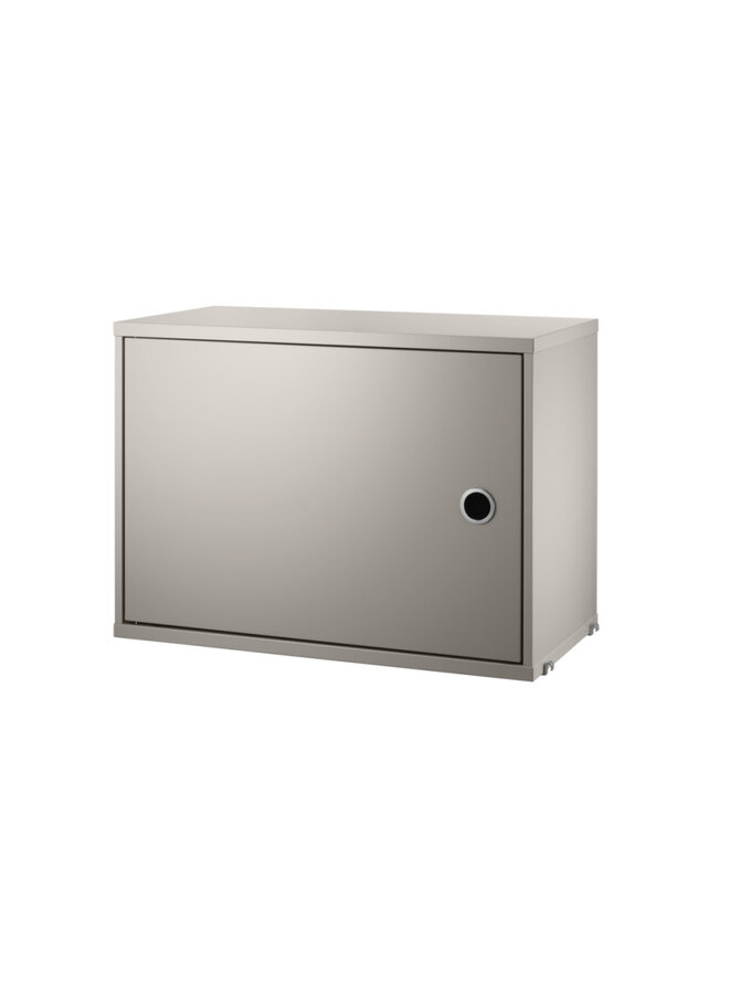 Cabinet with Swing Door