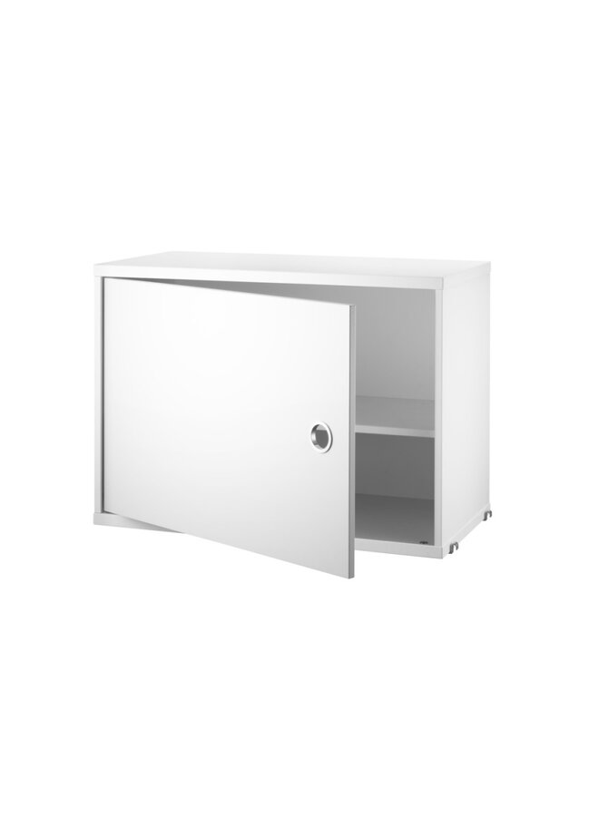 Cabinet with Swing Door