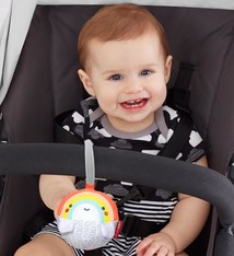 avocado stroller toy