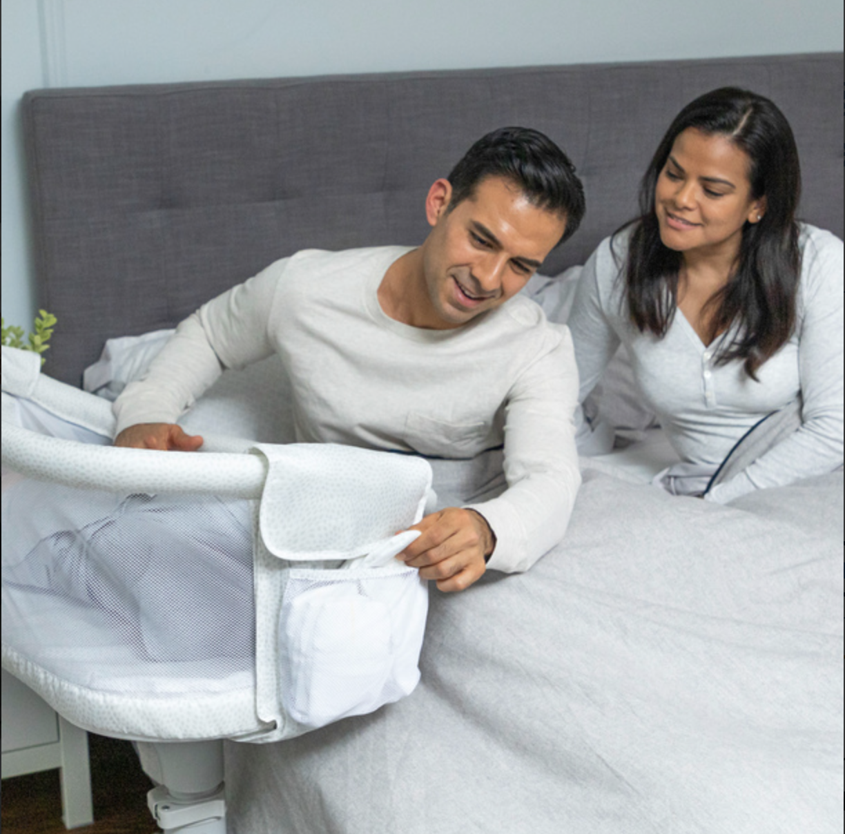 halo bassinest pebble