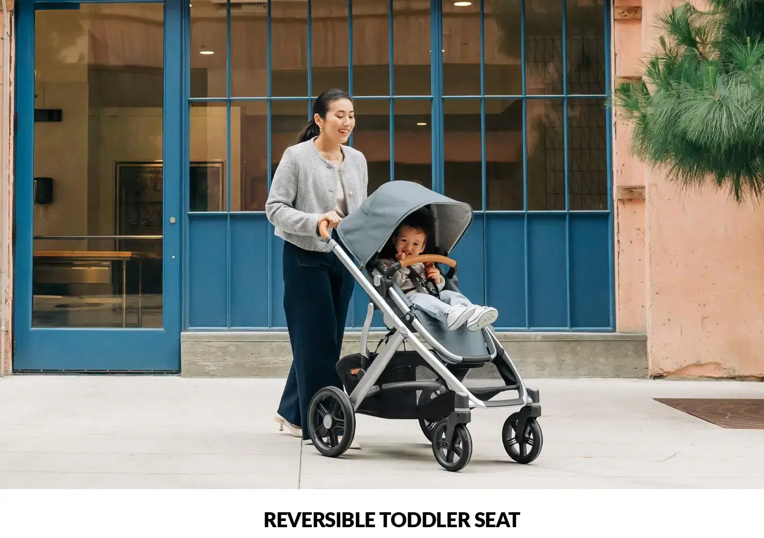 UPPABaby Vista V3 Stroller