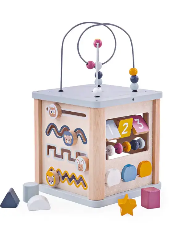 Bigjigs Activity Cube