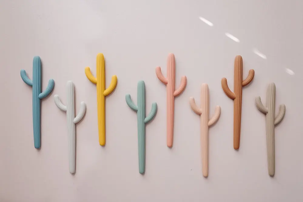 Cactus Teether