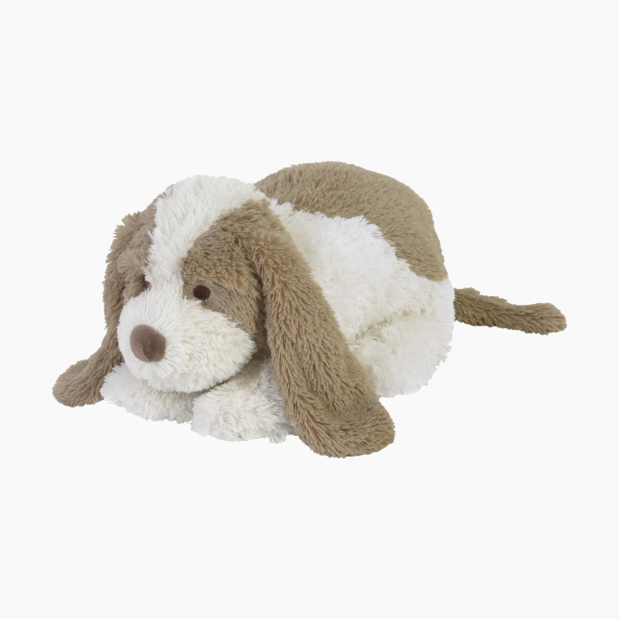 David the Dog
