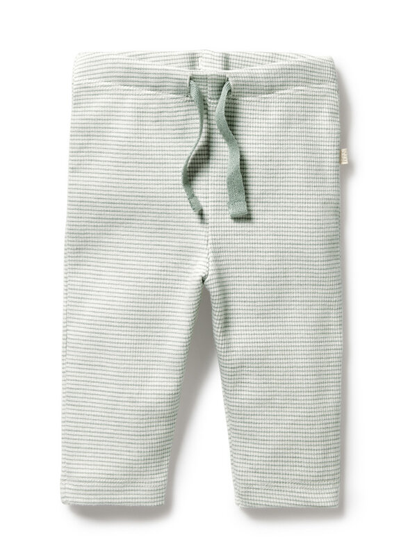 Wilson + Frenchy Stripe Rib Legging - Fern