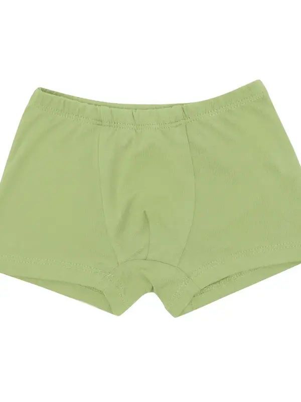 Kyte Briefs