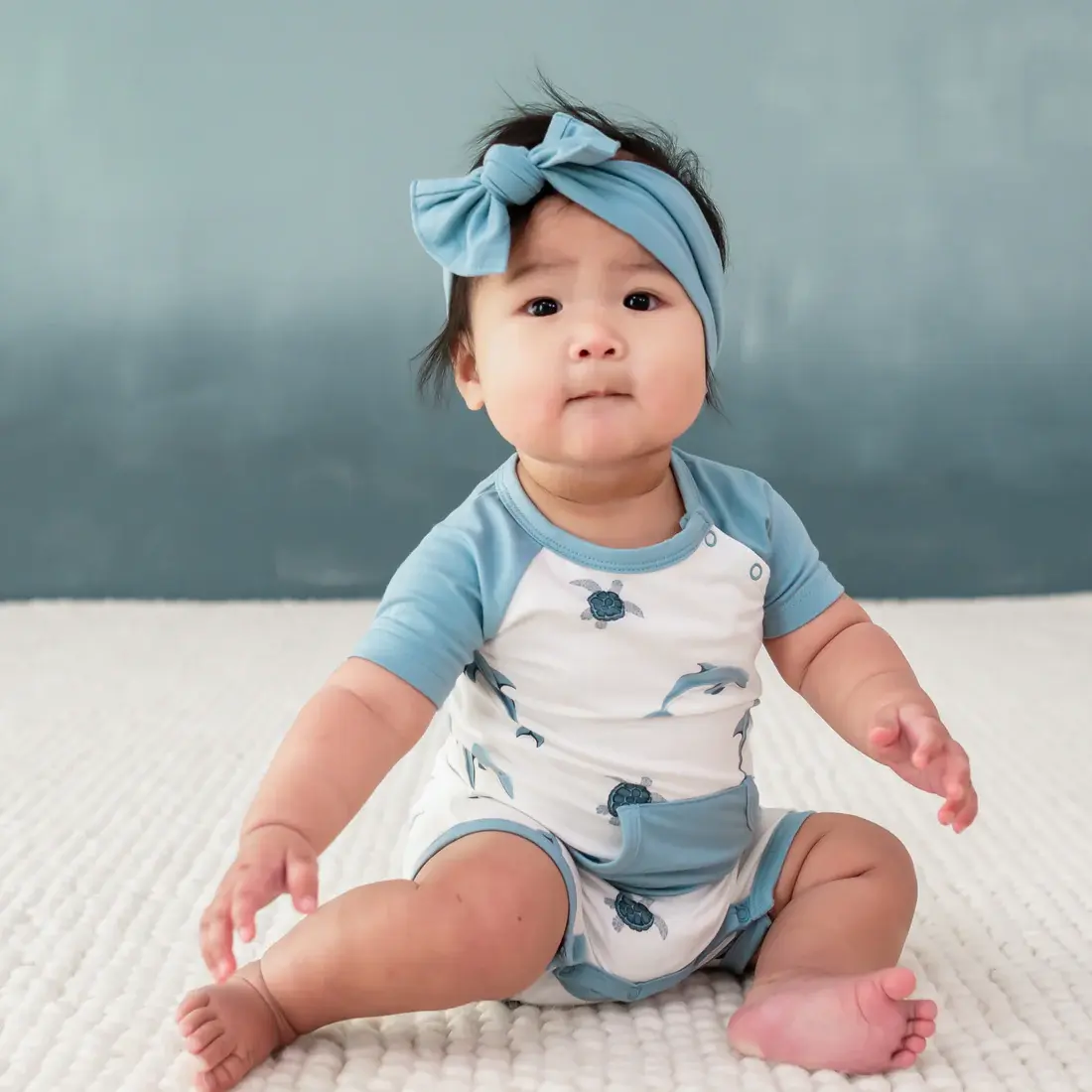 Kyte Shortall - Dolphin