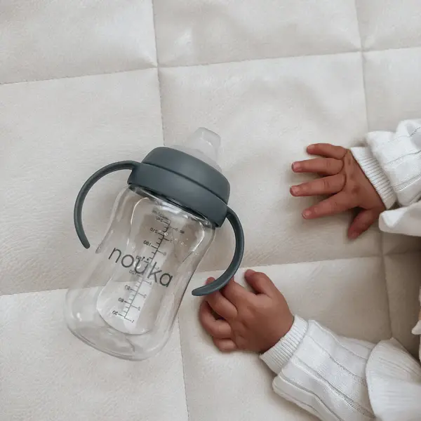 Transitional Sippy/Weighted Straw Cup