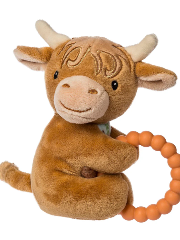 Mary Meyer Baby Rattle Teether -